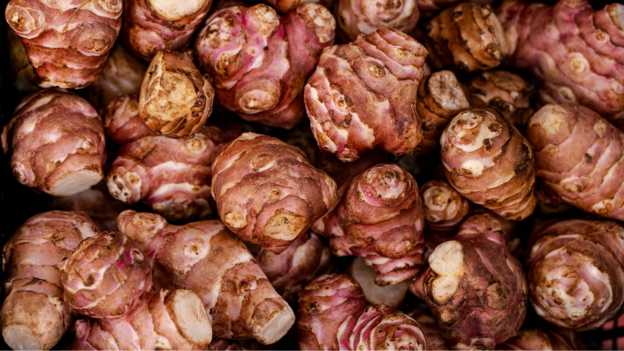 Топинамбур