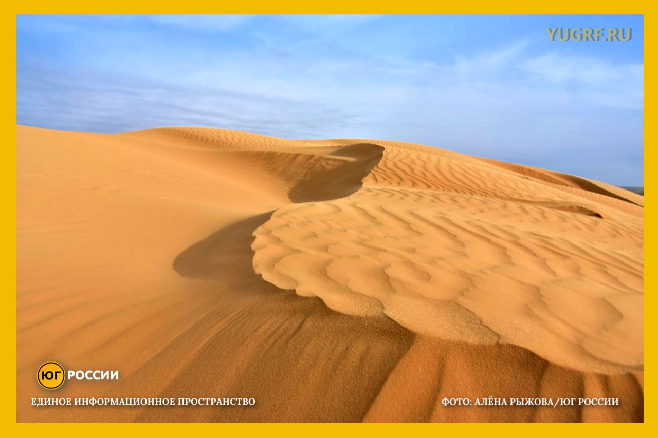 бархан пустыня степь Алена Рыжова 2