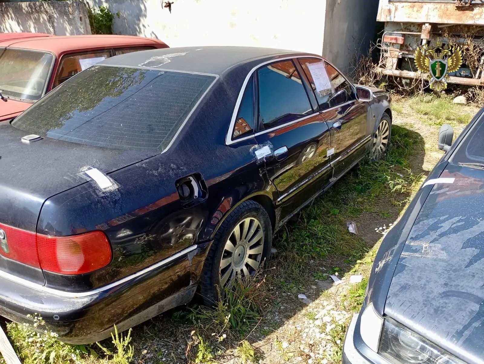 Машины находились на спецстоянке более десяти лет, но владельцы даже не пытались их забрать.