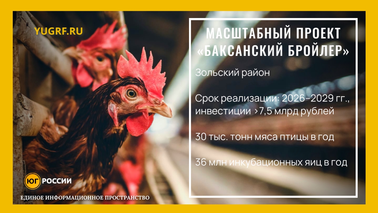 Масштабный проект «Баксанский Бройлер» в Зольском районе (2026–2029 гг., инвестиции >7,5 млрд рублей) Мощности: 30 тыс. тонн мяса птицы в год 36 млн инкубационных яиц в год
