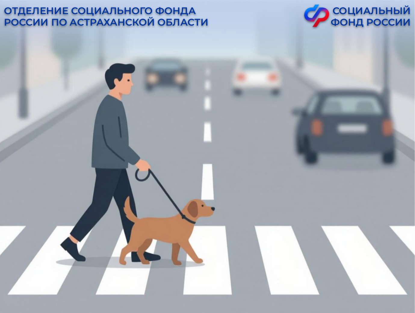 корм для собак-поводырей