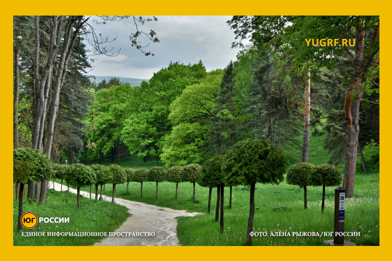 Кисловодский национальный парк фото Алена Рыжова