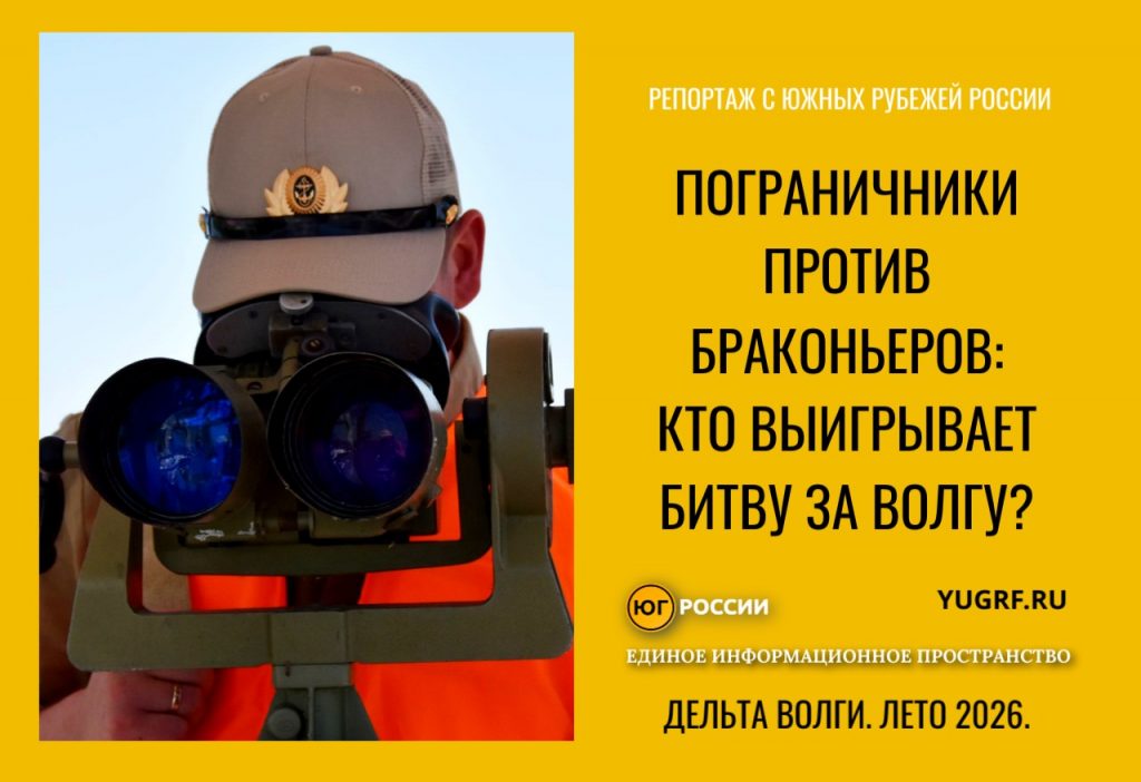 пограничники